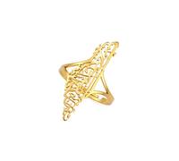 Amaxer Bague pour femme en acier inoxydable avec carte de la Palestine d'Israël - Carte géographique ethnique - Ouverte - Réglable - Bijou délicat, Métal