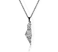 Amaxer Collier avec pendentif carte d'Israël Palestine - Pour hommes - Acier inoxydable (Carte Israël Palestine-B)