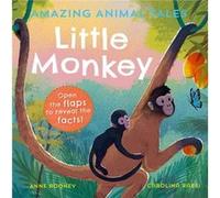Amazing Animal Tales Little Monkey by Anne Rooney Anne Rooney (Auteur)