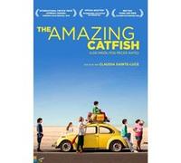 AMAZING CATFISH-VN G