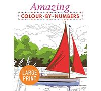 Amazing Colour-by-Numbers Large Print