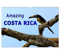 Amazing Costa Rica (Wall Calendar 2026 DIN A3 landscape), CALVENDO 12 Month Wall Calendar: Amazing wildlife in Costa Rica, the destination for nature lovers