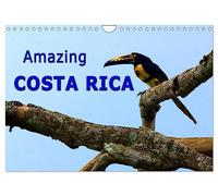 Amazing Costa Rica (Wall Calendar 2026 DIN A4 landscape), CALVENDO 12 Month Wall Calendar: Amazing wildlife in Costa Rica, the destination for nature lovers
