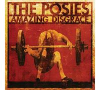 Amazing Disgrace