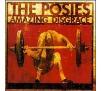 Amazing Disgrace (4eme Album)