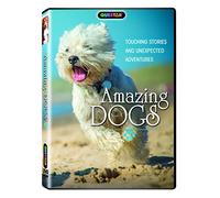 Amazing Dogs