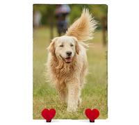 AMAZING Plaque Commémorative Personnalisée avec Photo Et Texte Ardoise en Forme De Coeur pour Chien Chat avec Présentoir en Forme De Coeur - Vertical - Taille 30x20 cm