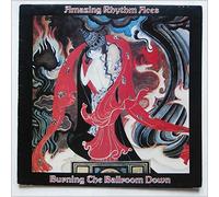 Amazing Rhythm Aces, The - Burning The Ballroom Down [Vinyl LP]
