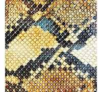 Amazing Snakehea the - Amphetamine Ballads