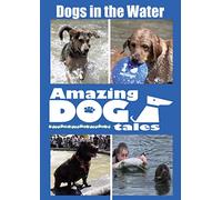 Amazing Tales-Dogs in The Water