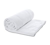 Amazinggirl Couette 200 x 220 cm - edredon Toute l'année 1 ou 2 Personne et couettes pour lit sans Housse Couette Blanche en Microfibre 200 x 220 cm Deuxième Choix Oeko-Tex