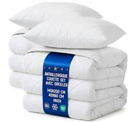 Amazinggirl Couette 200x140 cm - edredon Hiver 1 ou 2 Personne et couettes pour lit sans Housse Parure: 2 X Couette Blanche en Microfibre 140 x 200 cm avec 2 X Oreiller 40X80 cm Oeko-Tex