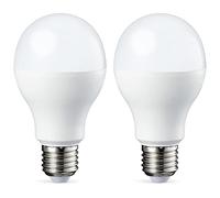 Amazon Basics Ampoule LED E27 A60 avec culot à vis, 14W (équivalent ampoule incandescente 100W), blanc chaud, dimmable - Lot de 2