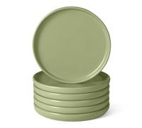 Amazon Basics Assiettes à Salade en Grès Émaillé, Lot de 6 Pièces, 21,1cm, Compatible Micro-Ondes et Lave-Vaisselle, Couleur Olive