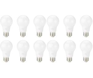Amazon Basics Lot de 12 ampoules LED, culot à vis Edison E27, 8 W (équivalent à 60 W), blanc froid, Non Dimmable