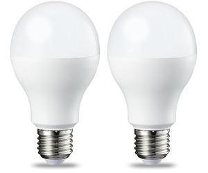 Amazon Basics Lot de 2 ampoules LED Culot Edison à vis E27 13 W (équivalent 100 W) Blanc froid Intensité non variable