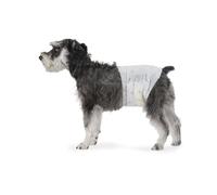 Amazon Basics Lot de 30 Couches jetables pour Chien mâle, Taille M, Blanc