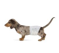 Amazon Basics Lot de 30 Couches jetables pour Chien mâle, Taille S, Blanc