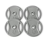 Amazon Basics Plaque de Poids Avec Poignée de 2,54cm, 4 x 2,5kg