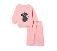 Amazon Essentials Ensemble Sweat-Shirt et Pantalon de Survêtement en Tissu Éponge Mixte Bébé, Lot de 2, Pêche Animaux en Fête, 0-3 Mois