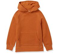 Amazon Essentials Sweat-Shirts à Capuche en Polaire Garçon, Brun Clair, 5 Ans