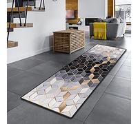 Amazpro Tapis de Couloir 100x160cm, Tapis Passage D'allée, Antidérapant Durable Lavable Tapis de Salon pour Cuisine, Couloir, entrée