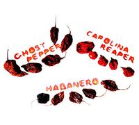 Amazseb 5X Carolina Reaper 5 * Ghost Pepper X Habanero Piment Entier Séché Sec - Piments Les Plus Forts Du Monde , 15 Unité (Lot De 1)