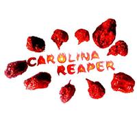 Amazseb Carolina Reaper Piment Entier Séché Sec - Piments Le Plus Fort Du Monde Entiers Séchés Secs , 10 Unité (Lot De 1)
