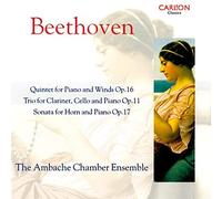 Ambache Chamber Ensemble - BeethovenQuintet Piano & W [Import]