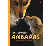 Ambaras