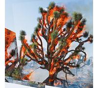 Ambarchi Kassel Rushford - Face Time [Import]