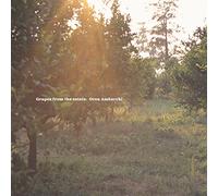 Ambarchi Oren - Grapes from the Estate