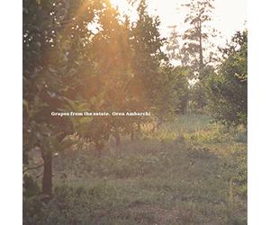 Ambarchi Oren - Grapes from the Estate