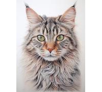 AMBATTERY Canevas Broderie Point de Croix Kit Complet, Motif de chat mignon, D, 30 x 40 cm. Kit Broderie Point de Croix Compté Pré Imprimé Débutant Adulte, Kit Canevas Avec Fils au Point de Croix