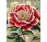 AMBATTERY Loquet Crochet Kit Fleur De Pivoine Rougekits De Fabrication De Tapis De Paillasson，Tapis À Crochet Imbriqué，Emballage Cadeau DIY pour Adolescents/Adultes avec Toile Imprimée 31x63in