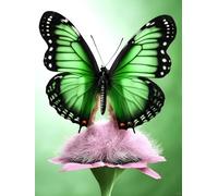 AMBATTERY Loquet Crochet Kit Papillons Et Fleurs Coloréskits De Fabrication De Tapis De Paillasson，Tapis À Crochet Imbriqué，Emballage Cadeau DIY pour Adolescents/Adultes avec Toile Imprimée 31x63in