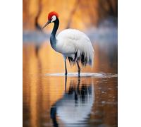 AMBATTERY Punch Needle Kit Adulte Animal Gruetapis À Loquet pour Bricolage avec Ensembles D'Outils De Coussin De Point De Croix pour Débutants Et Adultes Kit De Tapisserie À Broder Grand 31x63in