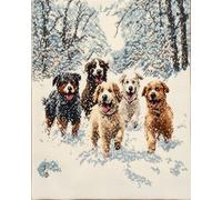 AMBATTERY Punch Needle Kit Adulte Chien dans La Neigekit De Tapis À Crochet De Loquet Fabrication,Tapisserie DIY pour La Décoration Intérieure Ensemble Adolescents Et ADU 23x35in