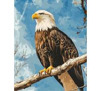 AMBATTERY Punch Needle Kit Adulte Portrait d'aigle Kit De Fabrication De Tapis pour Adultes Grand Coussin Latch Mat Yourself Knotting Beginners,DIY Latch Hook Kits Tapisserie 35x46in