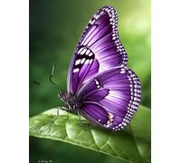 AMBATTERY Tufting Kit Complet Papillon Violet Animalkit De Crochet À Loquet DIY Ensemble De Verrouillage Automatique pour Adultes Kits De Tapisserie Débutants Grand Tapis Pré-Imprimé 21x29in