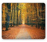 Ambesonne Tapis de souris de forêt, allée d'automne romantique dans les bois, paysage de feuillage, image de forêt, tapis de souris rectangulaire en caoutchouc antidérapant, taille standard, marron