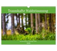 Ambiance forestière de rêve sur le Rennsteig dans la forêt de Thuringe, Version française (Calendrier mural 2026 DIN A3 portrait), Calendrier CALVENDO mensuel
