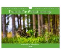 Ambiance forestière de rêve sur le Rennsteig dans la forêt de Thuringe, Version française (Calendrier mural 2026 DIN A4 portrait), Calendrier CALVENDO mensuel