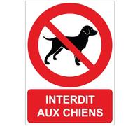 Ambiance Sticker autocollant signalétique, interdit aux chiens, 21 x 15 cm | Vinyle laminé résistant UV et eau, pose facile sans bulles, fabriqué en Belgique, message lisible