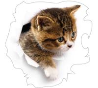 Ambiance Sticker Muraux Autocollant Mural pour Chambre à Coucher, Chambre d'Enfant et Salon Chat Contemplant dans sa Cachette - H45 x L45 cm