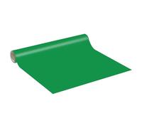Ambiance Sticker Vinyle Adhésif Sticker Rouleau au Mètre pour Décoration Intérieure, Mur de Cuisine, Autocollant Amovible, Lavable, Imperméable, Meubles, Chambre, Salon - Vert Cactus - 60 cm x 10M