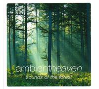 Ambient Heaven : Sounds of The Forest