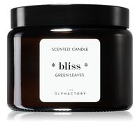 Ambientair The Olphactory Green Leaves bougie parfumée Bliss 360 g