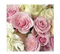 Ambiente - 20 SERVIETTES PAPIER ROSIER MADISON 33CM ROSE