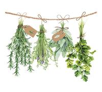 AMBIENTE Lot 20 serviettes en papier 33 x 33 cm - Herbes Aromatiques